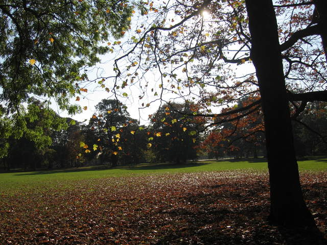 Cassiobury Park