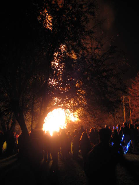 Radford Park bonfire