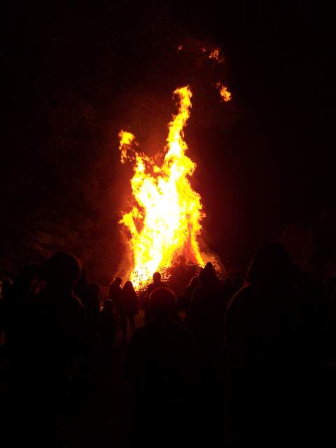 Radford Park bonfire