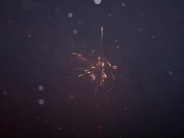 100_4062.JPG