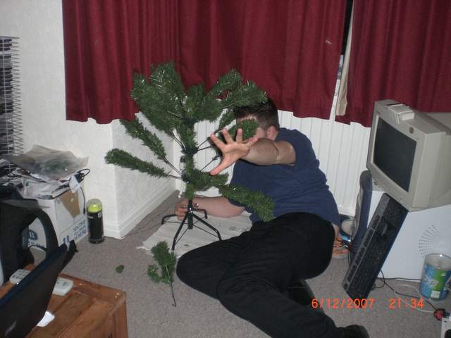 Tree attack?