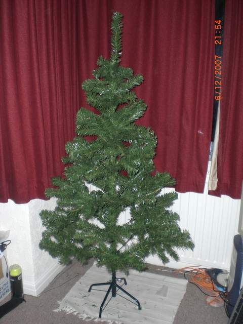 Naked fake tree