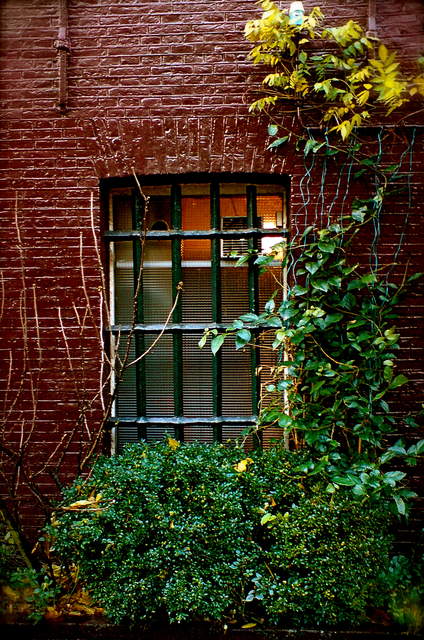 Amsterdam - DArk Window.jpg