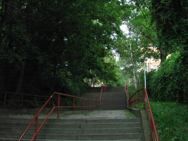 IMG_1028.jpg