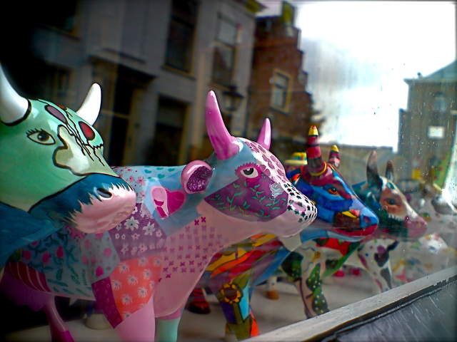 Sinterklaas - Cows.jpg