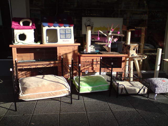 DSC00581.JPG