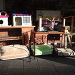 DSC00581.JPG