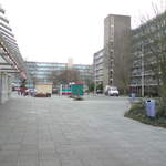 DSC00595.JPG
