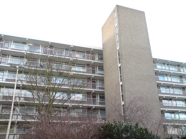 DSC00598.JPG