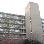 DSC00598.JPG