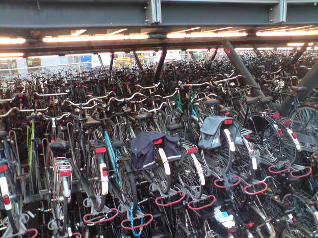 DSC00620.JPG