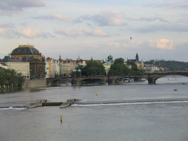 IMG_1136.jpg