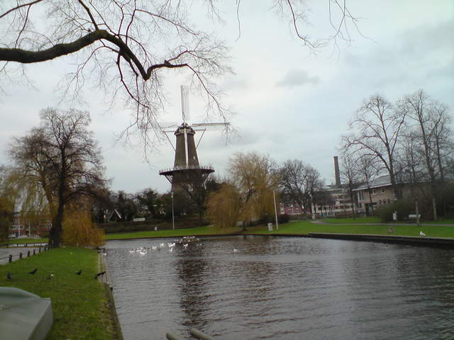 DSC00626.JPG