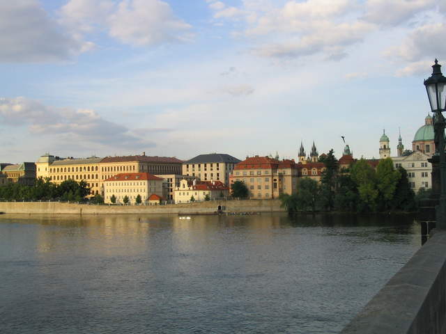 IMG_1137.jpg