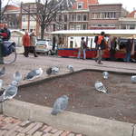 IMG_1746.JPG