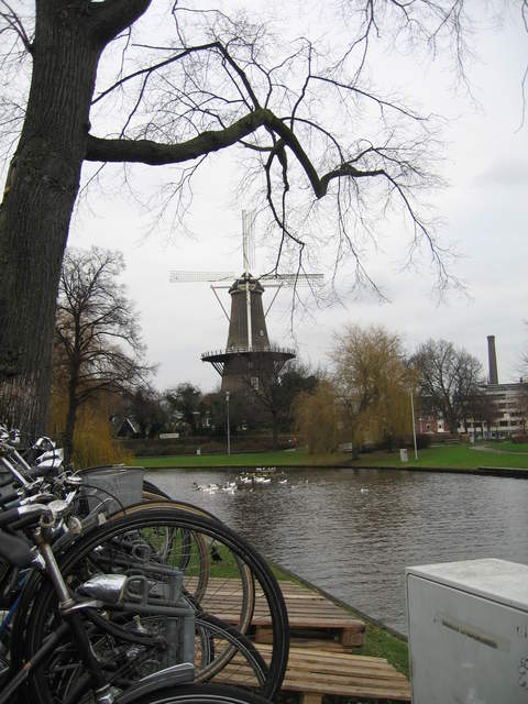 IMG_1732.JPG