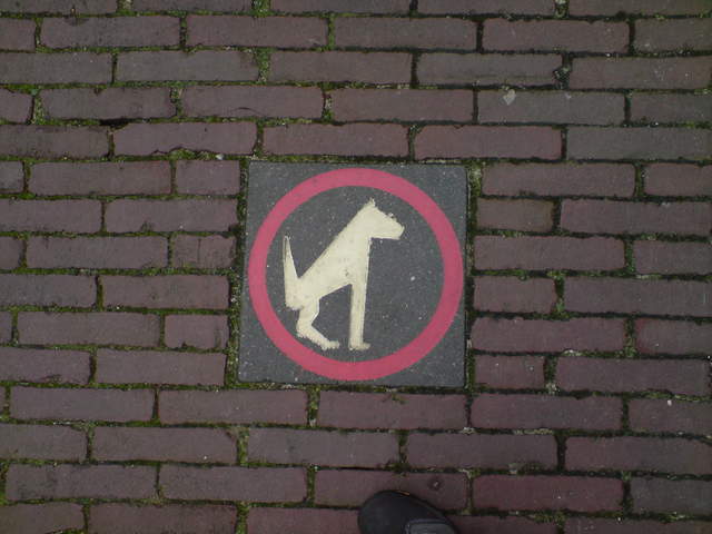 DSC00651.JPG