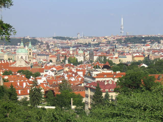IMG_1228.jpg