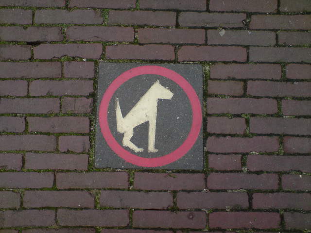 DSC00652.JPG