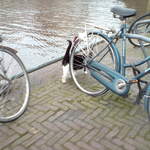 DSC00659.JPG