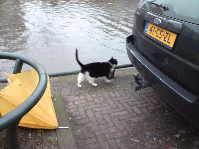 DSC00660.JPG