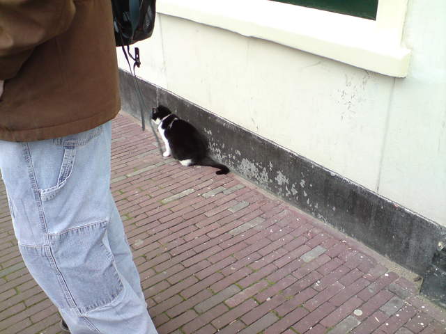 DSC00662.JPG