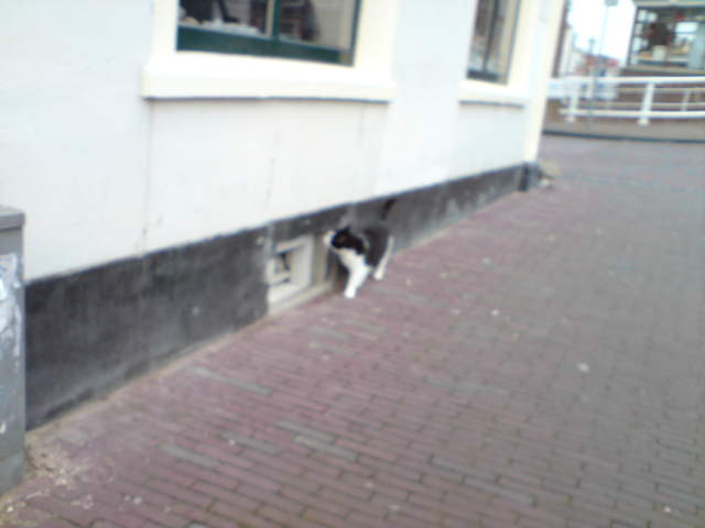DSC00663.JPG