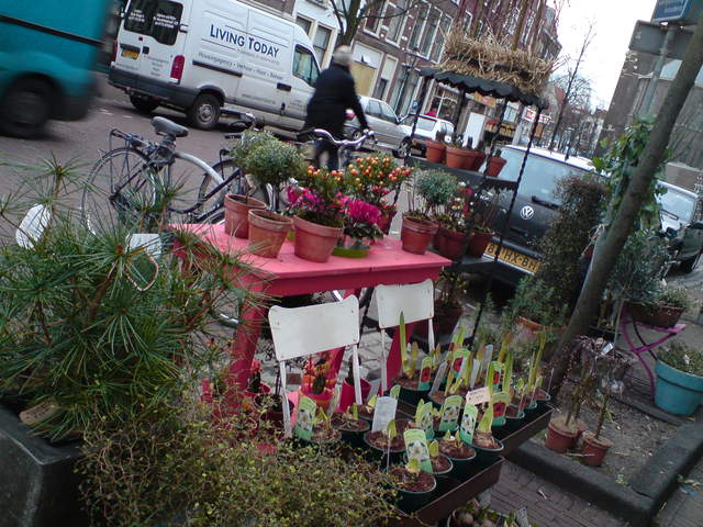 DSC00665.JPG