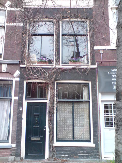 DSC00668.JPG