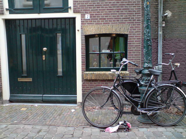DSC00719.JPG