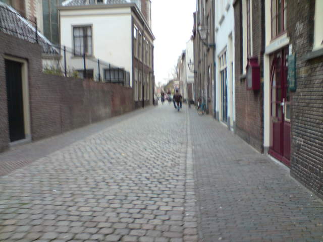 DSC00725.JPG