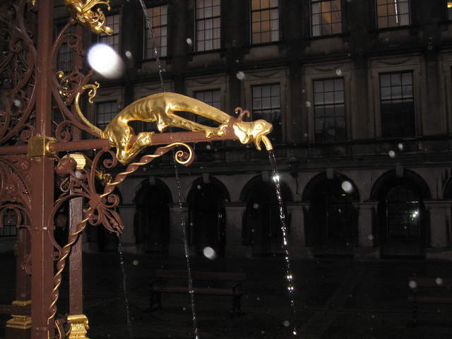 IMG_1778.JPG