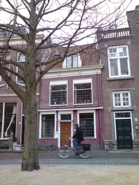 DSC00732.JPG