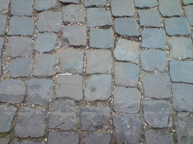 DSC00735.JPG