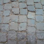 DSC00735.JPG