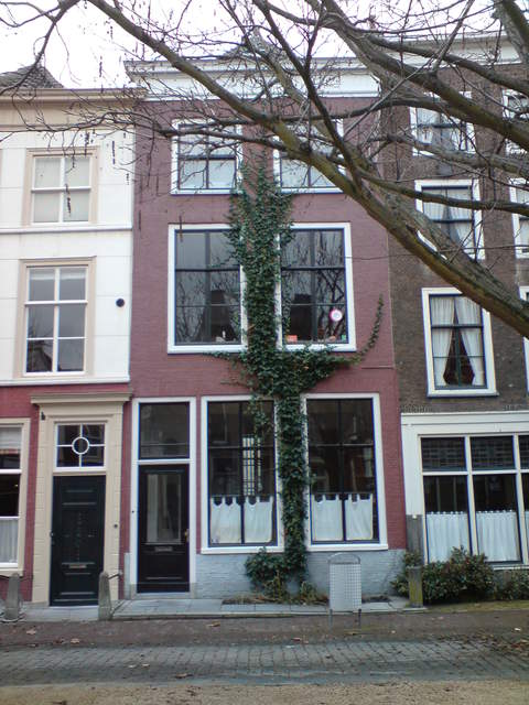 DSC00737.JPG