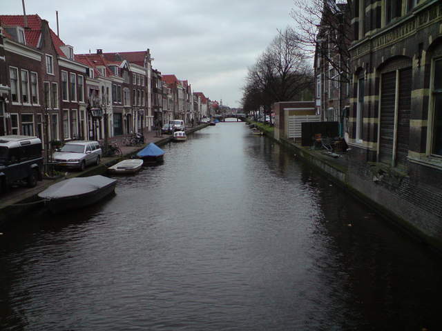 DSC00739.JPG