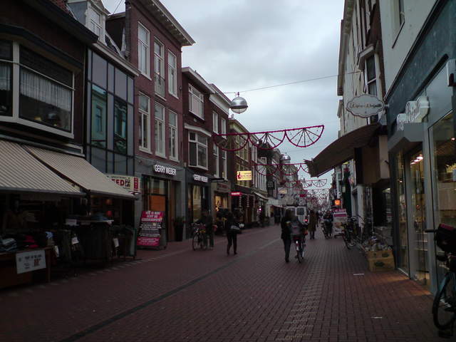 DSC00746.JPG