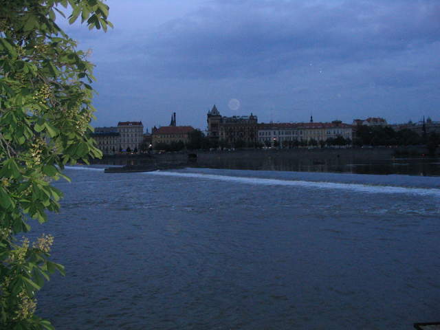 IMG_1304.jpg