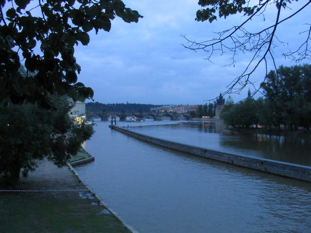 IMG_1305.jpg