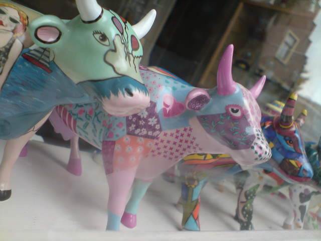 DSC00782.JPG