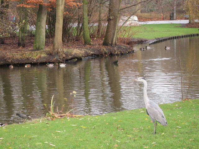 IMG_1851.JPG