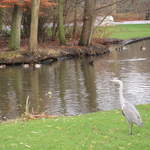 IMG_1851.JPG