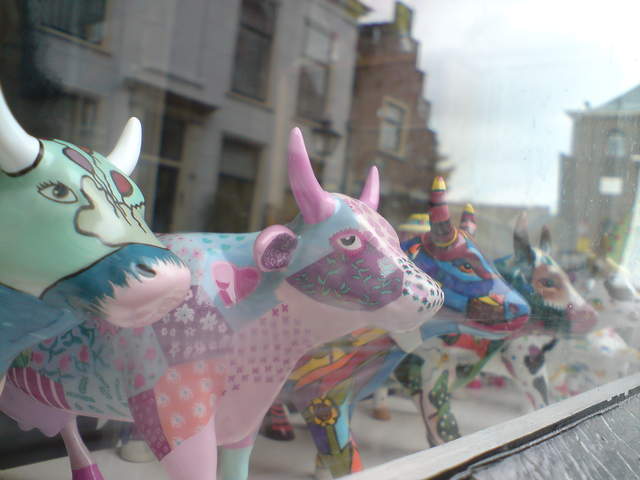DSC00783.JPG