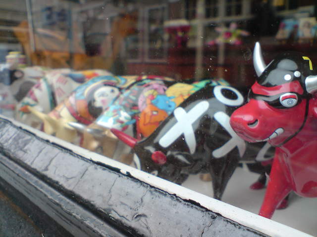DSC00784.JPG