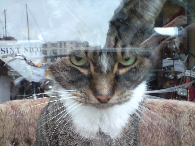 DSC00788.JPG