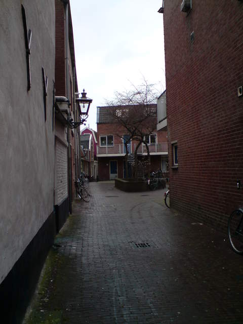 DSC00791.JPG