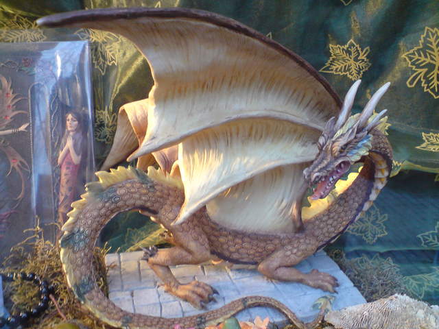 DSC00793.JPG