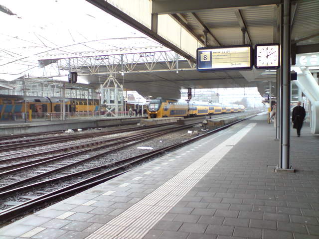 DSC00803.JPG