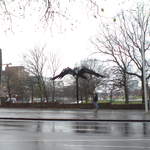 DSC00810.JPG